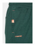 Viking Pantaloni scurti dama 302985340 Bambus Verde - Pled.ro