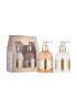 Vivian Gray Set Sapun lichid Romance Vanilla & Patchouli Unisex 250 ml + Crema de maini 250 ml - Pled.ro