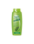 Wash&Go Sampon pentru par gras cu extract de ierburi 750ml - Pled.ro