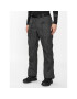 4F Pantaloni de schi AW23TFTRM403 Gri Regular Fit - Pled.ro