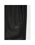 4F Pantaloni de schi HJZ22-JSPMN001 Negru Regular Fit - Pled.ro