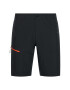 4F Pantaloni scurți sport H4L21-SKMF060 Negru Regular Fit - Pled.ro