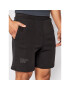 4F Pantaloni scurți sport H4L22-SKMD015 Gri Regular Fit - Pled.ro