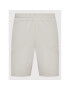 4F Pantaloni scurți sport R4L21-SKMD903 Gri Regular Fit - Pled.ro