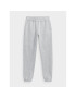 4F Pantaloni trening AW23TTROF475 Gri Regular Fit - Pled.ro