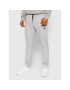 4F Pantaloni trening NOSH4-SPMD350 Gri Regular Fit - Pled.ro