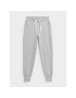 4F Pantaloni trening SS23TTROF229 Gri Regular Fit - Pled.ro