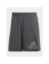 adidas Pantaloni scurți sport Future Icons Winners HZ6286 Gri Loose Fit - Pled.ro