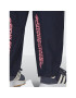 adidas Pantaloni trening Adventure Ride HK4979 Bleumarin Loose Fit - Pled.ro