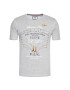 Aeronautica Militare Tricou 211TS1844J509 Gri Regular Fit - Pled.ro