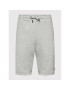 Alpha Industries Pantaloni scurți sport Basic 116363 Gri Regular Fit - Pled.ro