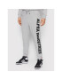 Alpha Industries Pantaloni trening Big Letters 126343 Gri Regular Fit - Pled.ro