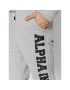 Alpha Industries Pantaloni trening Big Letters 126343 Gri Regular Fit - Pled.ro