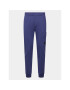 C.P. Company Pantaloni trening Diagonal Raised 14CMSP017A 005086W Bleumarin Regular Fit - Pled.ro