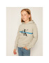 Calvin Klein Jeans Bluză Monogram Stripe Hoodie IB0IB00465 Gri Regular Fit - Pled.ro