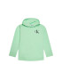 Calvin Klein Jeans Bluză Unisex Smal Monogram IU0IU00164 Verde Regular Fit - Pled.ro