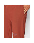 Calvin Klein Jeans Pantaloni trening J30J320590 Vișiniu Regular Fit - Pled.ro