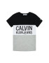 Calvin Klein Jeans Tricou Colour Block Logo IB0IB00887 Colorat Regular Fit - Pled.ro