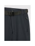 CMP Pantaloni outdoor 3T51644 Gri Regular Fit - Pled.ro