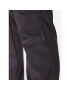 CMP Pantaloni outdoor A01487-N Gri Regular Fit - Pled.ro