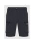 CMP Pantaloni scurți sport 32T6687 Gri Regular Fit - Pled.ro