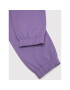 Coccodrillo Pantaloni trening WC2120101EVG Violet Regular Fit - Pled.ro