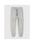 Coccodrillo Pantaloni trening WC2120102HER Gri Regular Fit - Pled.ro