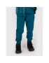 Coccodrillo Pantaloni trening ZC1120101REM Verde Regular Fit - Pled.ro