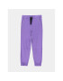 Coccodrillo Pantaloni trening ZC3120102GGJ Violet Regular Fit - Pled.ro