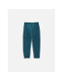 Coccodrillo Pantaloni trening ZC3120102SBN Verde Regular Fit - Pled.ro