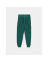 Coccodrillo Pantaloni trening ZC3120104ASJ Verde Regular Fit - Pled.ro