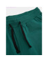 Coccodrillo Pantaloni trening ZC3120104ASJ Verde Regular Fit - Pled.ro