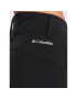 Columbia Pantaloni de schi Roffe Ridge™ 2007591 Negru Regular Fit - Pled.ro