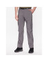 Columbia Pantaloni outdoor Silver Ridge™ 2012952 Gri Regular Fit - Pled.ro