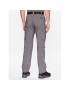 Columbia Pantaloni outdoor Silver Ridge™ 2012952 Gri Regular Fit - Pled.ro