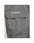 Columbia Pantaloni outdoor Silver Ringe II Cargo XO0661 Gri Regular Fit - Pled.ro