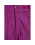 Columbia Pantaloni pentru snowboard Starchaser Peak II 1523691 Violet Regular Fit - Pled.ro