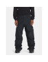 DC Pantaloni pentru snowboard Banshee Snpt ADYTP03042 Negru Regular Fit - Pled.ro