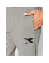 Diadora Pantaloni trening Core 102.178751 Gri Regular Fit - Pled.ro