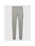 Diadora Pantaloni trening Core 102.178751 Gri Regular Fit - Pled.ro