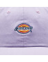 Dickies Șapcă Hardwick DK0A4TKVE Violet - Pled.ro