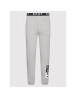 DKNY Pantaloni trening N5_6742_DKY Gri Regular Fit - Pled.ro