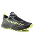 Dynafit Pantofi Ultra 100 Gtx GORE-TEX 64058 Gri - Pled.ro