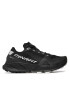 Dynafit Pantofi Ultra 100 Gtx GORE-TEX 64089 Negru - Pled.ro