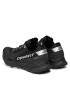 Dynafit Pantofi Ultra 100 Gtx GORE-TEX 64089 Negru - Pled.ro