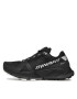 Dynafit Pantofi Ultra 100 Gtx GORE-TEX 64089 Negru - Pled.ro