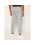 EA7 Emporio Armani Pantaloni trening 8NPPC1 PJ05Z 3900 Gri Regular Fit - Pled.ro