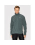 Helly Hansen Polar Daybreaker 51598 Verde Regular Fit - Pled.ro