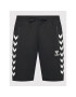 Hummel Pantaloni scurți sport Ray 2.0 211156 Negru Regular Fit - Pled.ro