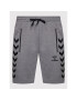 Hummel Pantaloni scurți sport Ray 211156 Gri Regular Fit - Pled.ro